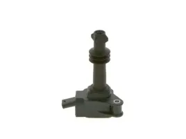 cewka-zaplonowa-0281005863-bos