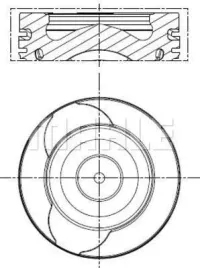 tlok-021-pi-00128-001