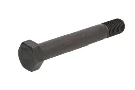 sruba-resora-fe08230