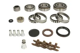 zestaw-naprawczy-mechanicznej-skrzyni-biegow-462-0331-10