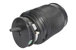 miech-zawieszenia-pneumatycznego-a-3316