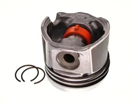 tlok-87-137507-30-nural