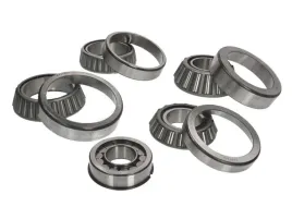 zestaw-naprawczy-mechanizmu-roznicowego-298350