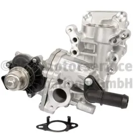 modul-egr-7-04511-29-0-pierbur