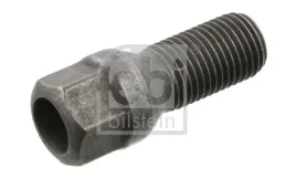 sruba-kola-fe36255-20