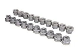 nakretka-kola-fe39371-20