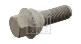 sruba-kola-fe29466-24