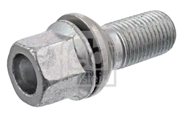 sruba-kola-fe23368-20