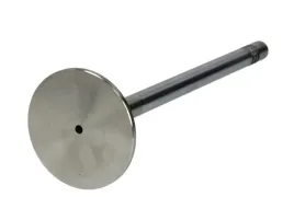 zawor-ssacy-25300