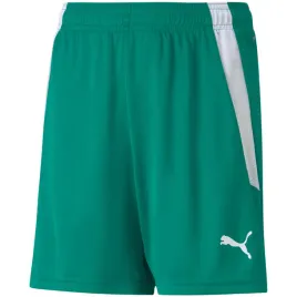 spodenki-dla-dzieci-puma-teamliga-shorts-jr-zielone-704931-05-152cm
