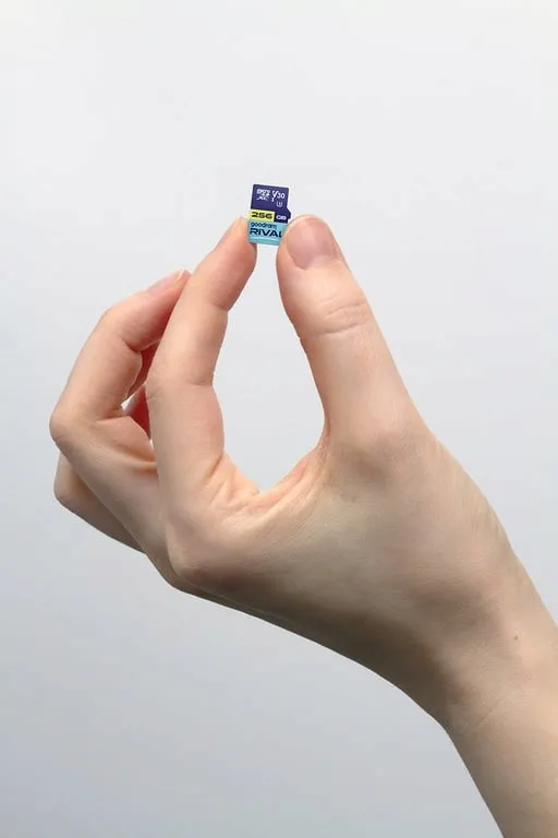 goodram-256-gb-microsdxc-klasa-10