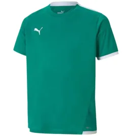 koszulka-dla-dzieci-puma-teamliga-jersey-zielona-704925-05-176cm