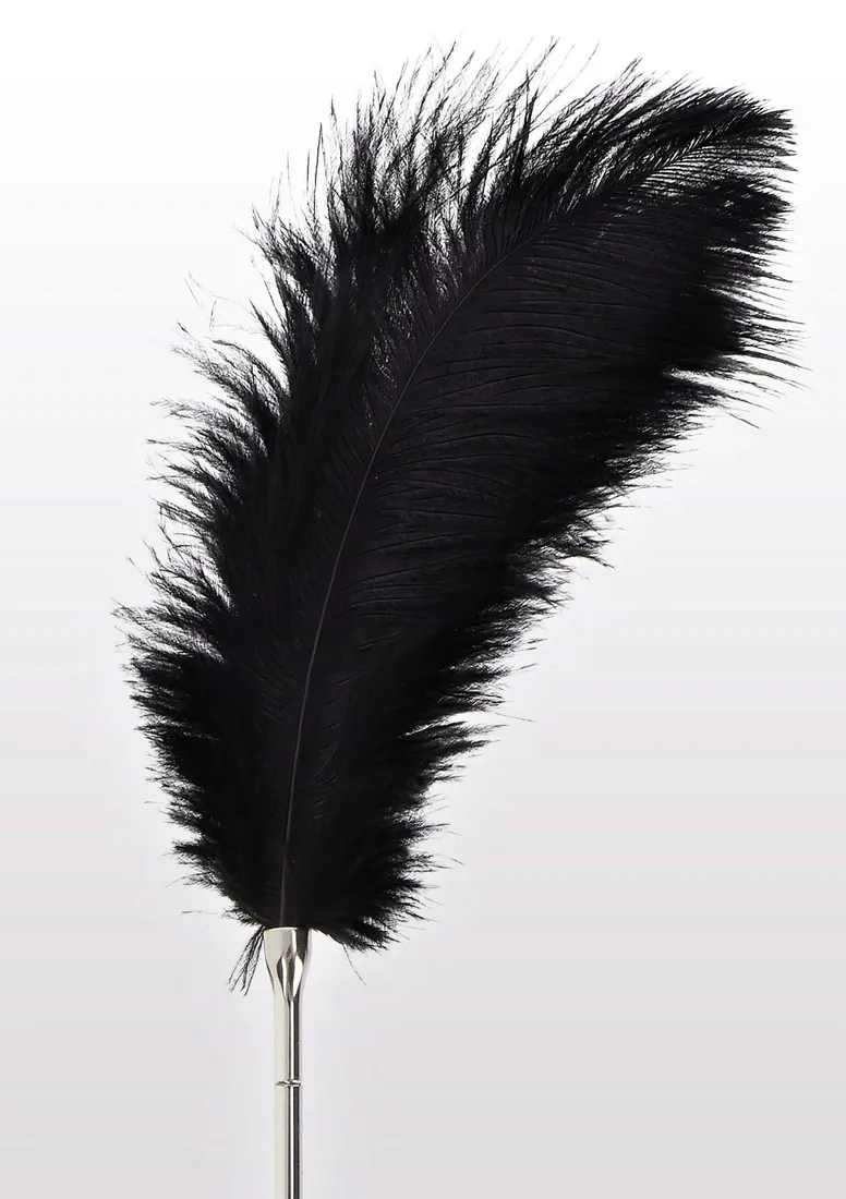 feather-tickler-black-stan-nowy