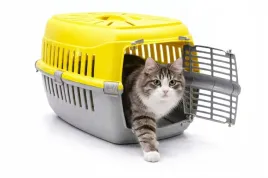 duzy-transporter-rozowy-solidny-box-kojec-klatka-dla-kota-krolika-psa