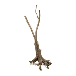 terranatura-korzen-twist-wood-root-50-200-cm