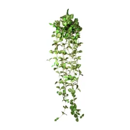 terra-natura-dekoracja-terrarystyczna-wiszaca-roslina-srednia-22-cm