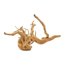 terranatura-korzen-bagienny-mix-60-120-cm