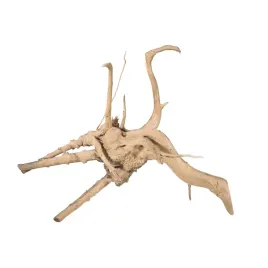 terranatura-korzen-bagienny-s-red-moor-15-20cm