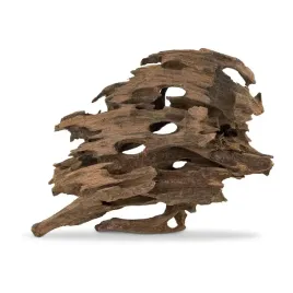 terranatura-korzen-smocze-drewno-s-10-30cm