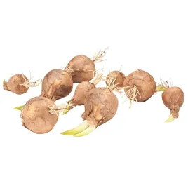 sztuczna-cebula-cebulka-do-stroikow-warzywa-owoce-do-dekoracji-jak-zywe-9sz