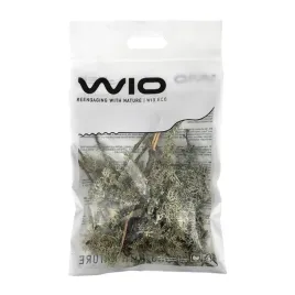 wio-branches-lichen-porost-dekoracyjny-patykowaty-01kg
