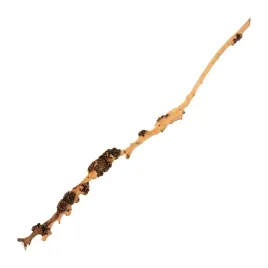terranatura-drewno-sava-wood