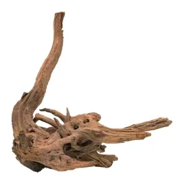 terranatura-korzen-malaysian-80-120-cm