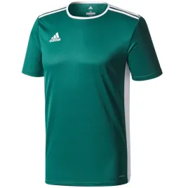koszulka-dla-dzieci-adidas-entrada-18-jersey-junior-zielona-ce9563-128cm