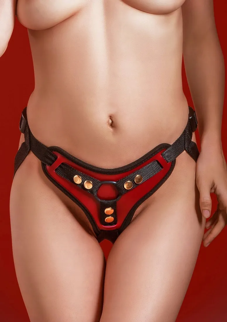 taboom-bondage-in-luxury-strap-on-harness-stan-nowy