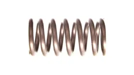 sprezyna-zaworu-vw-golf-98-scirocco-09-036109623r-oe