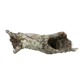 terranatura-dekoracja-do-terrarium-tuby-i-platy-korkowe-l-xl-1kg