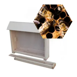 ul-pokazowy-edukacyjny-1-ramka-wielkopolski-drewniany-podkarmiaczka-plexi