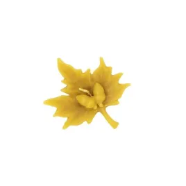 forma-silikonowa-do-swiec-woskowych-lisc-z-zoledziami-fs485