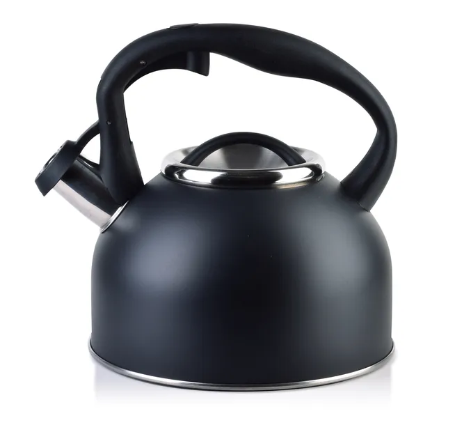 gab-black-czajnik-25l