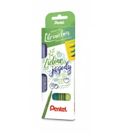 zestaw-pisakow-do-kaligrafii-pentel-zielone-jagody