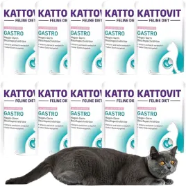 kattovit-gastro-losos-ryz-dla-kota-pakiet-10x85g