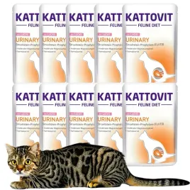 kattovit-niere-urinary-karma-dla-kota-losos-10x85g