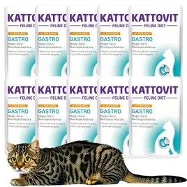 kattovit-gastro-dla-kota-indyk-z-ryzem-pakiet-10x85g