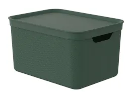rotho-box-ozdobny-pudelko-do-przechowywania-z-pokrywka-alvra-16l-zielony