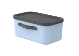 rotho-pojemnik-box-pudelko-z-pokrywa-i-raczkami-12-l-mythen-niebieski