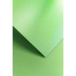 karton-ozdobny-a4-galeria-papieru-milenium-zielen
