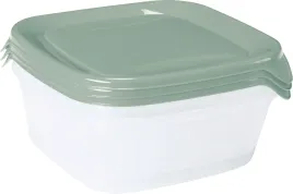 zestaw-pojemnikow-na-zywnosc-freshandgo-3x08l-transparentny-zielony-curver