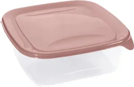 pojemnik-na-zywnosc-kwadratowy-fresh-and-go-17l-curver