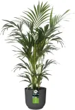 elho-doniczka-o-25-cm-stan-powystawowy