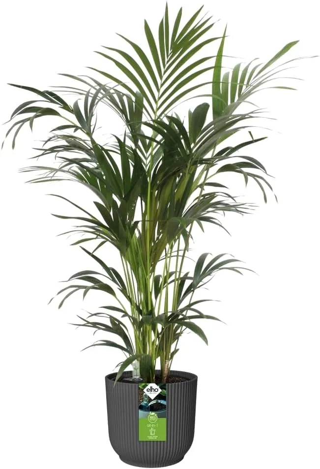 elho-doniczka-o-25-cm