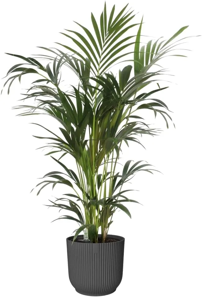 elho-doniczka-o-25-cm