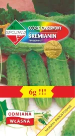 nasiona-ogorek-gruntowy-sremianin-mieszaniec-6g-spojnia-400328
