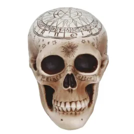 czaszka-czacha-czarodziejki-wrozki-wiedzmy-spirytystyczna-halloween-20cm