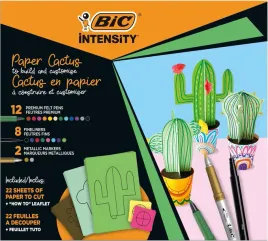 zestaw-kreatywny-intensity-paper-cactus-25e-bic