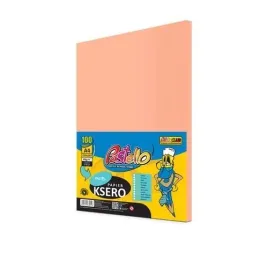 papier-ksero-kolorowy-lososiowy-a4-80g-100-arkuszy